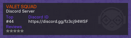 VALET SQUAD - сервер Discord