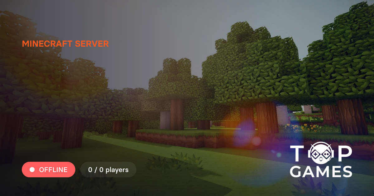 Rise SMP - Minecraft Server